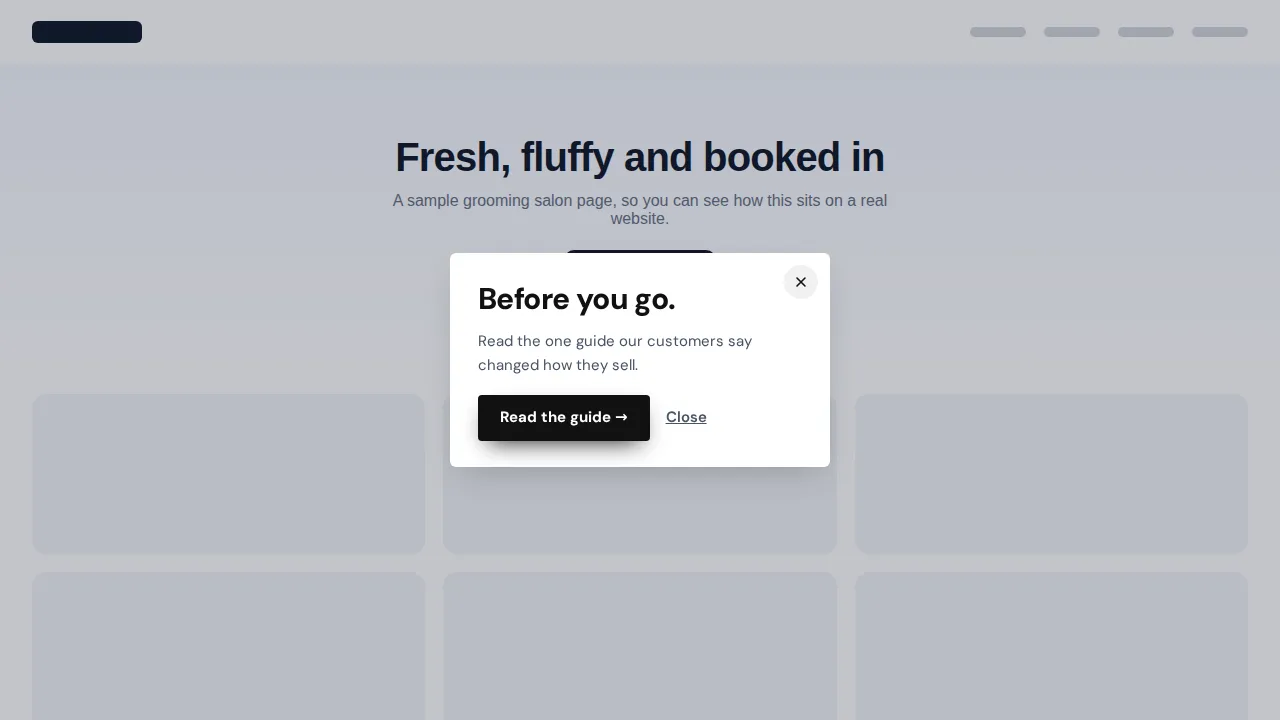 Minimal exit note popup template on a sample grooming salon website